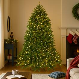 BreeBe - LED Lighted Fir Christmas Tree 5FT/6FT with Full Branch Design - Green