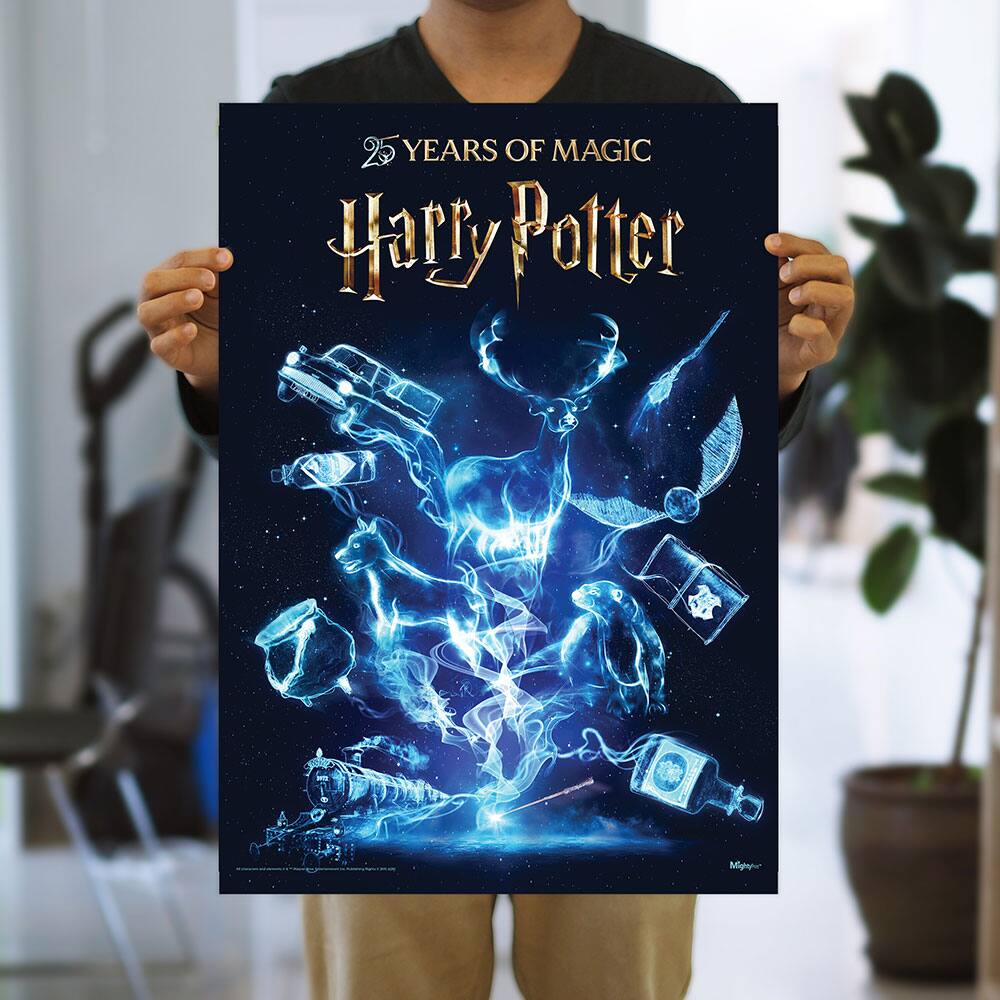 25 YEARS OF MAGIC  
Harry Potter