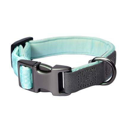 Front. PET MARVEL - PET MARVEL Heavy Duty Solid Dog Collar Neoprene Padded 1 in Wide, Mint Green L - Mint Green.
