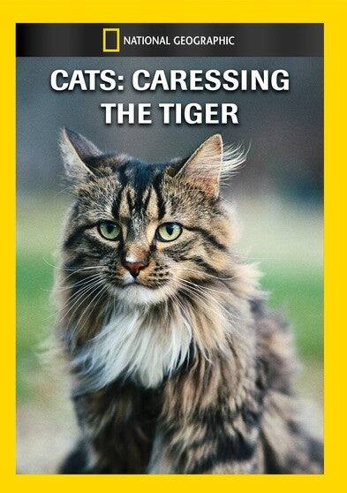 Cats - Caressing The Tiger - DVD