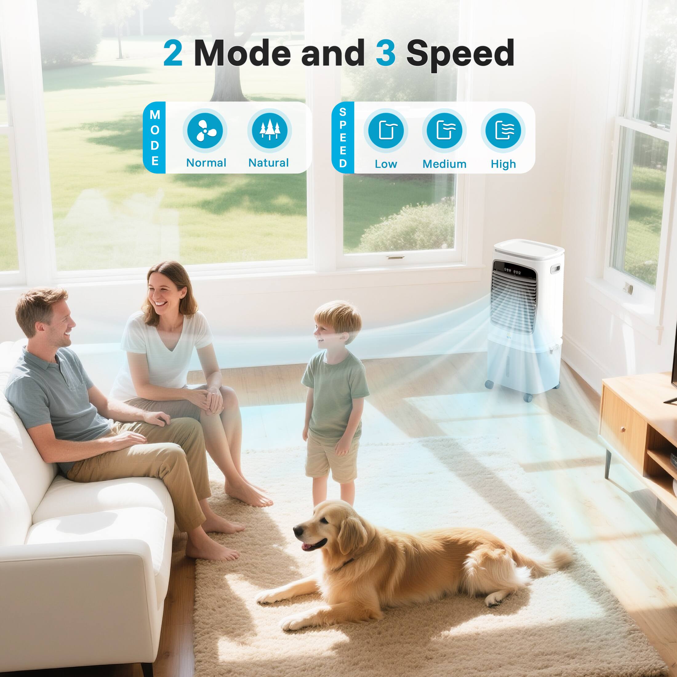 2 Mode and 3 Speed

MODE
Normal
Natural

SPEED
Low
Medium
High