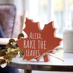 ALEXA, RAKE THE LEAVES