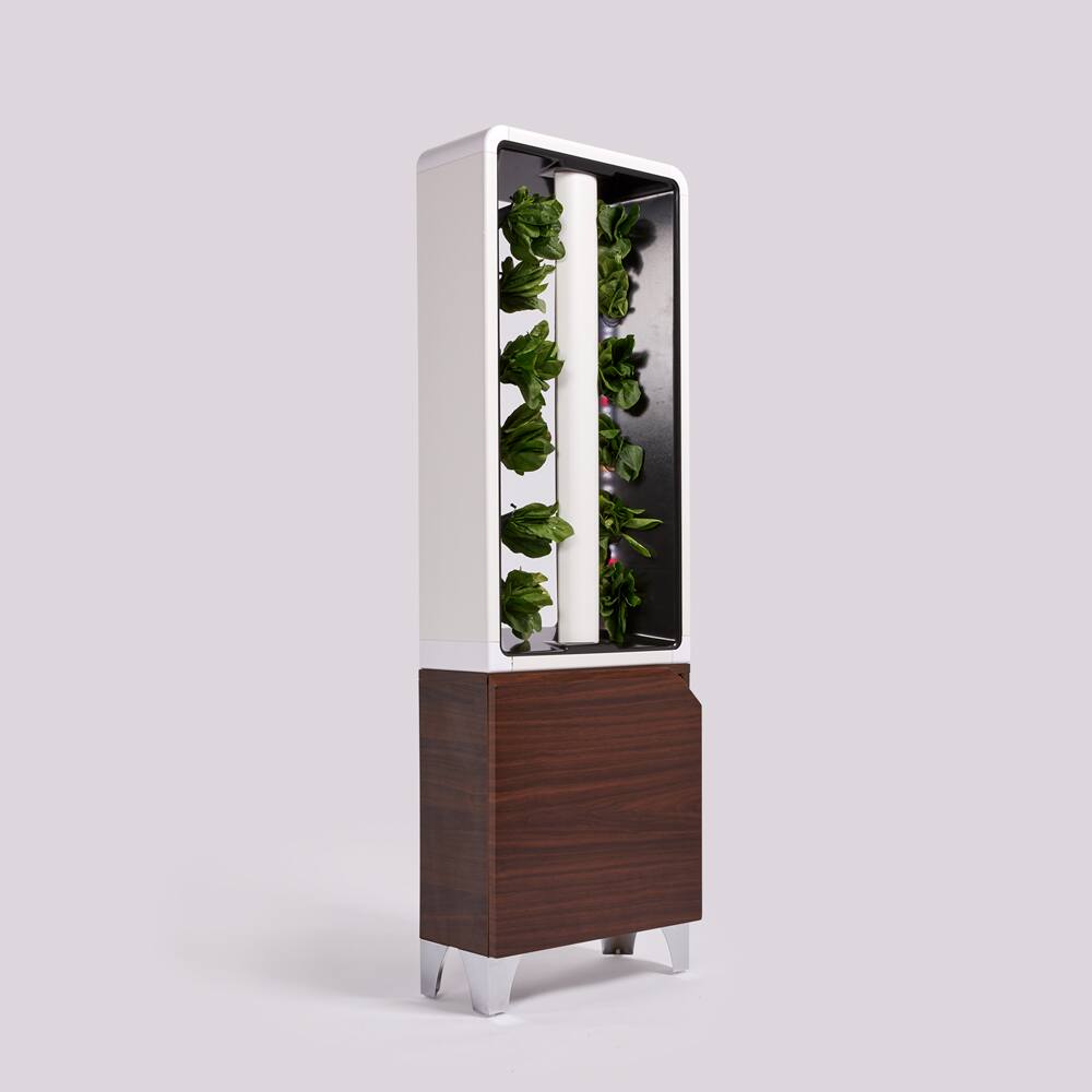 Angle. Just Vertical - EVE Indoor Hydroponic Garden | Modern Furniture-Style Vertical Planter | Grow 12 Fresh Herbs & Vegetables Year-Round - Walnut.