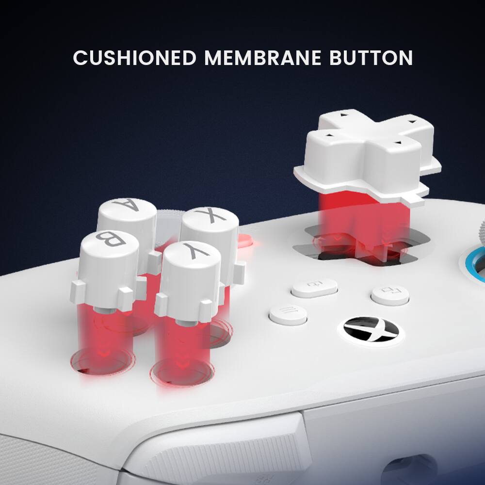 CUSHIONED MEMBRANE BUTTON