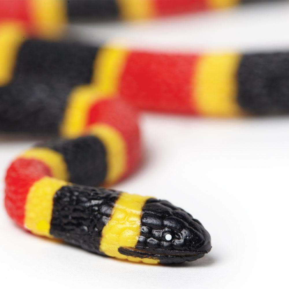 Back. Safari Ltd. - Coral Snake Baby Toy Figurine.