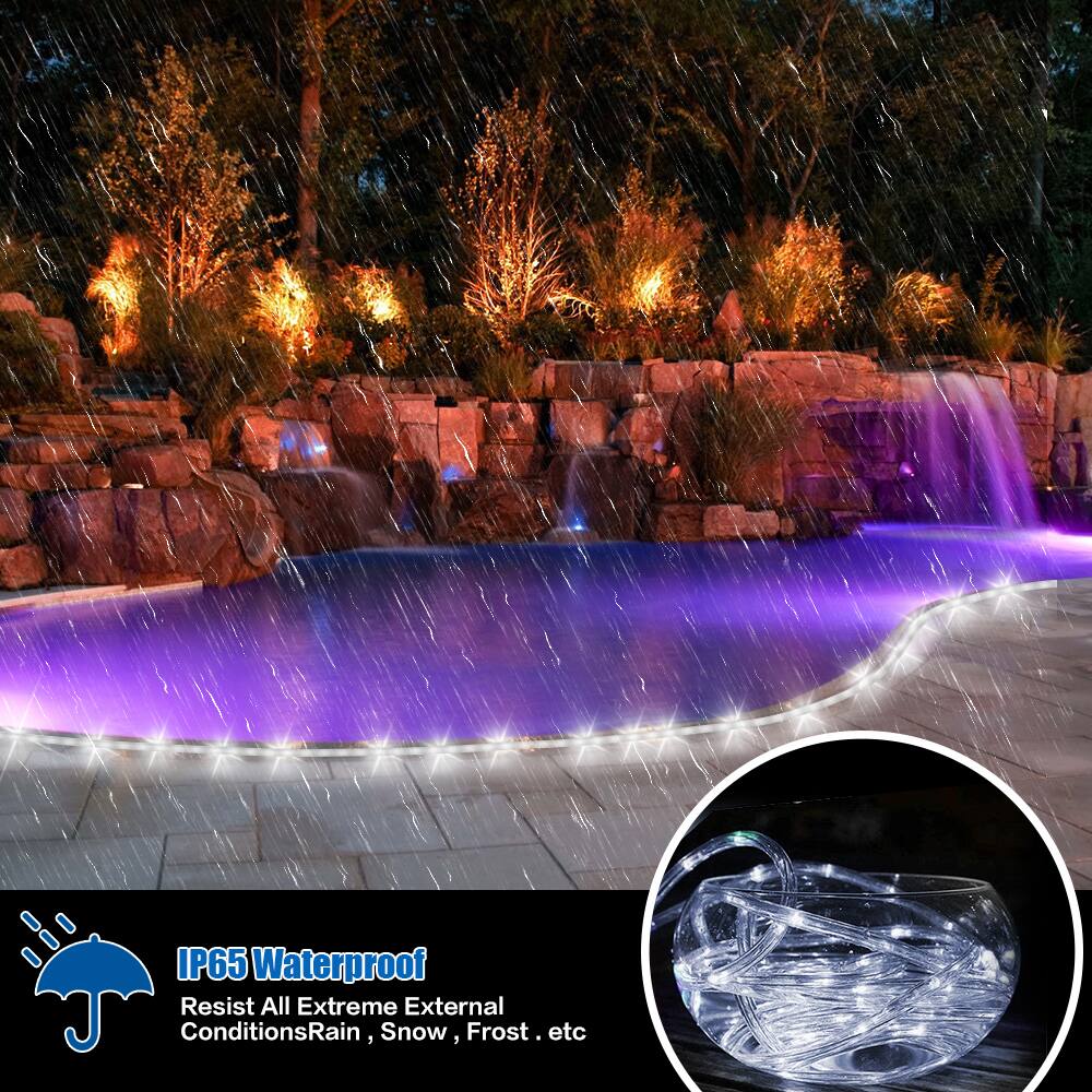 IP65 Waterproof  
Resist All Extreme External Conditions: Rain, Snow, Frost, etc.