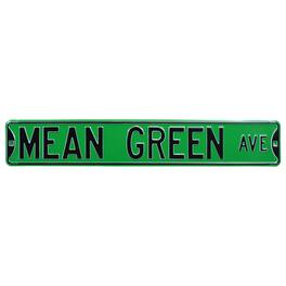 Authentic Street Signs - North Texas Mean Green 6'' x 36'' Steel Street Sign - Multicolor
