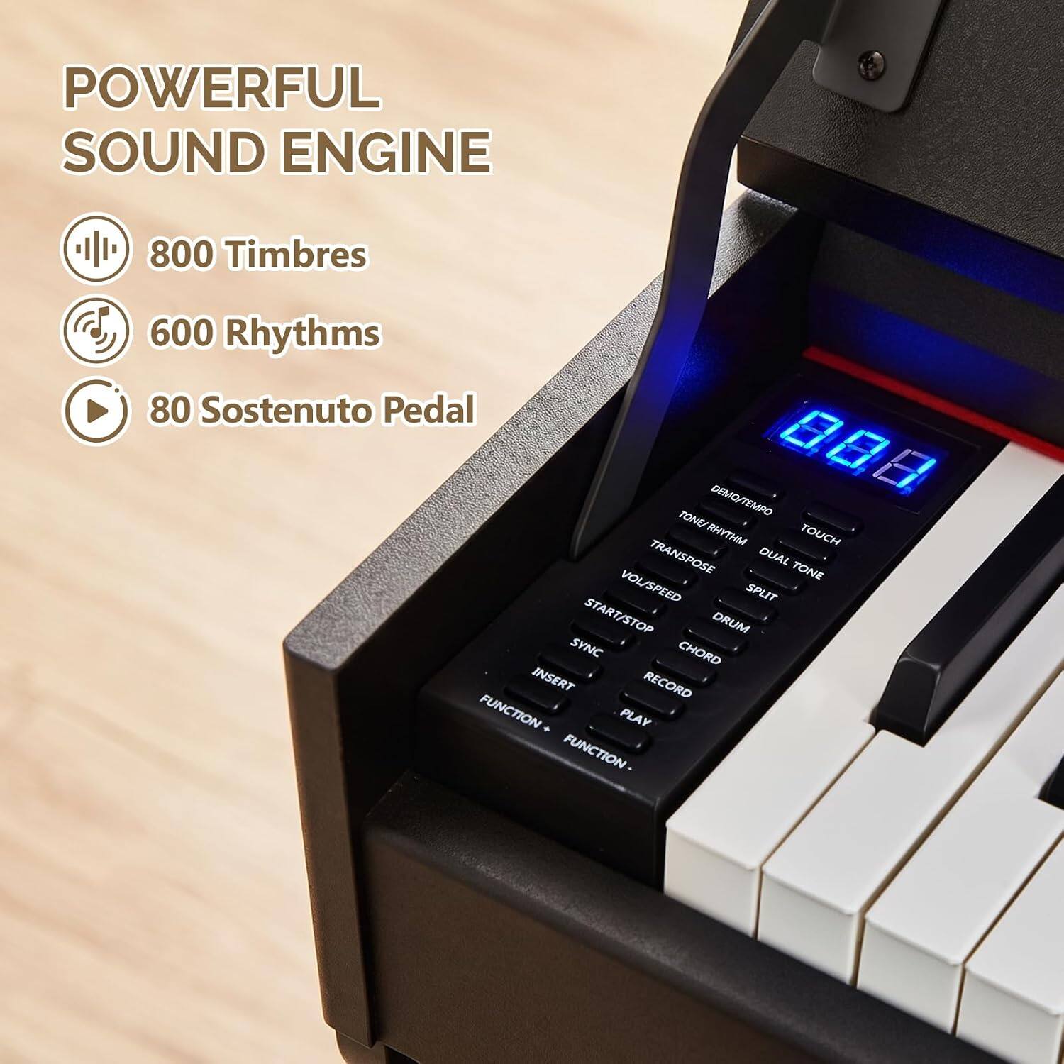 POWERFUL SOUND ENGINE  
800 Timbres  
600 Rhythms  
80 Sostenuto Pedal  
DEMO/TEMPO  
8.8 TONE!  
TOUCH  
TRANSPOSE  
DUAL TONE  
VOL/SPEED  
SPLIT  
START/STOP  
DRUM SYNC  
CHORD  
INSERT  
RECORD  
FUNCTION  
PLAY