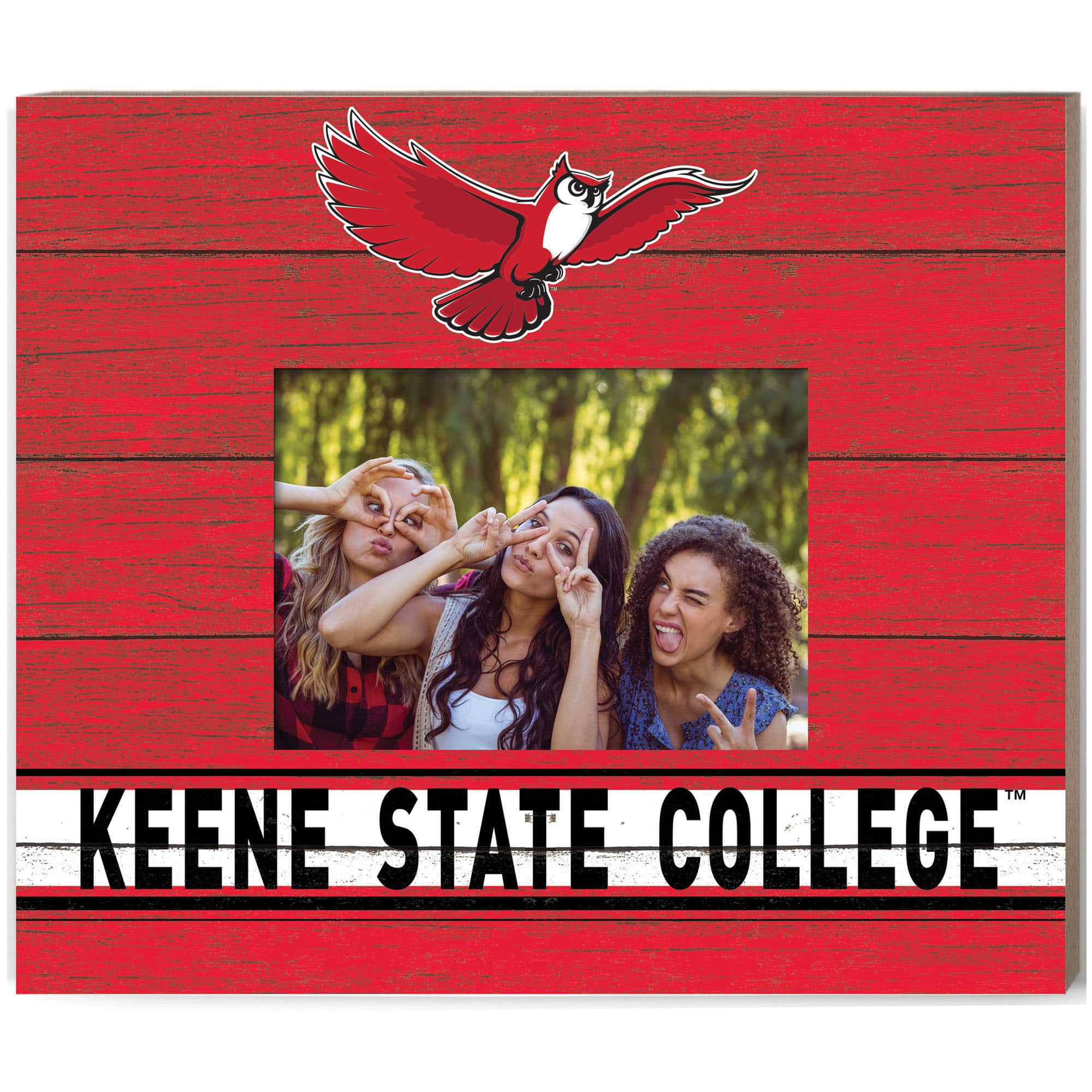 Jardine - Keene State Owls 11'' x 13'' Team Spirit Scholastic Picture Frame - Red price history on PriceWatchPro