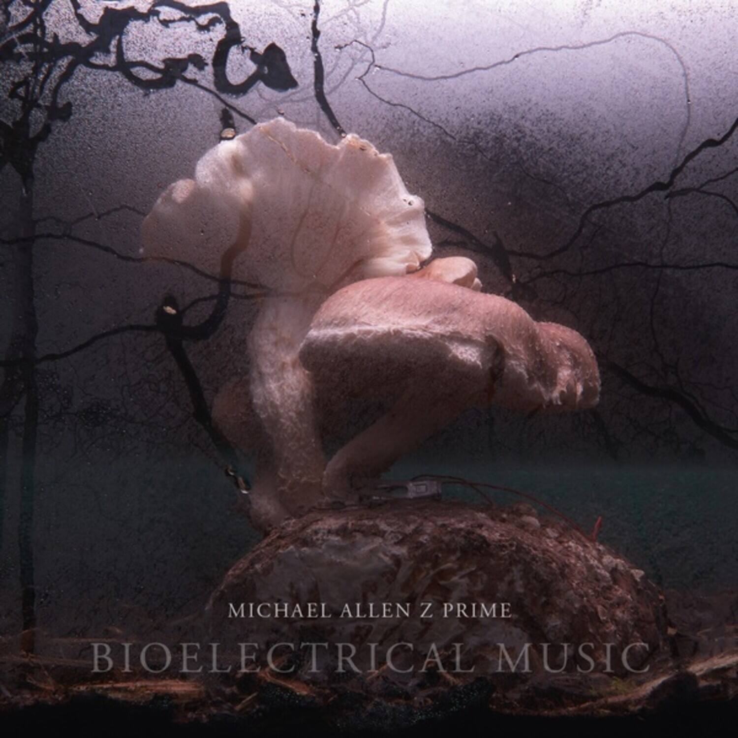 Michael Allen Z Prime - Bioelectrical Music   - COMPACT DISCS [CD]