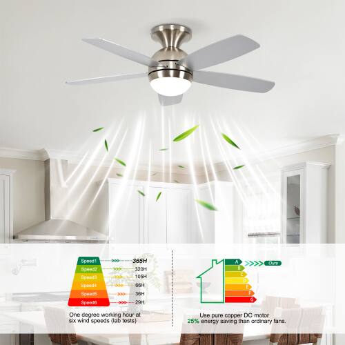 Speed1 Speed2 Speed3 Speed4 Speed5 Speed6  
365H 320H 105H 66H 36H 29H  
A B D E F G  
OuTE  
One degree working hour at six wind speeds (lab tests)  
Use pure copper DC motor 25% energy saving than ordinary fans.
