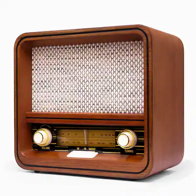 PRUNUS Radio retro vintage con sonido estéreo Bluetooth PRUNUS Radio retro vintage con sonido estéreo Bluetooth