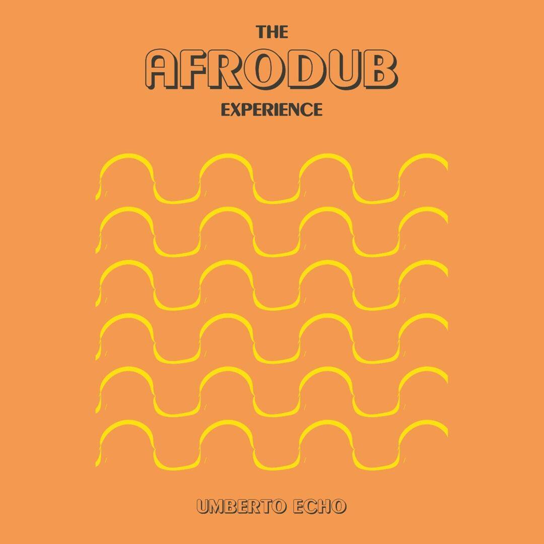 The Afrodub Experience [LP] [VINYL] price history on PriceWatchPro