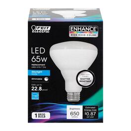 FEIT ELECTRIC - BR30 E26 (Medium) LED Bulb Daylight 65 Watt Equivalence 1 pk