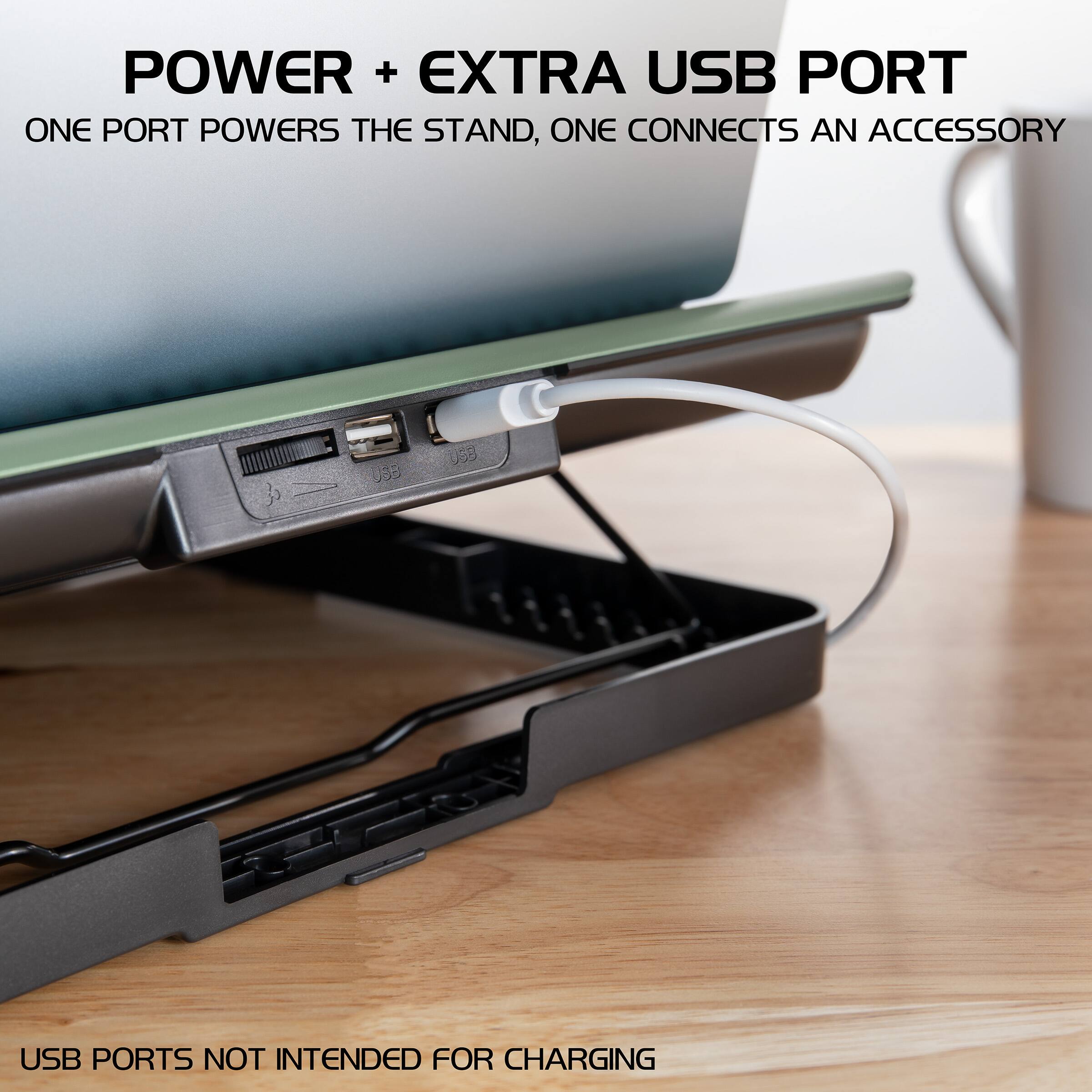 POWER + EXTRA USB PORT  
ONE PORT POWERS THE STAND, ONE CONNECTS AN ACCESSORY  

USB PORTS NOT INTENDED FOR CHARGING