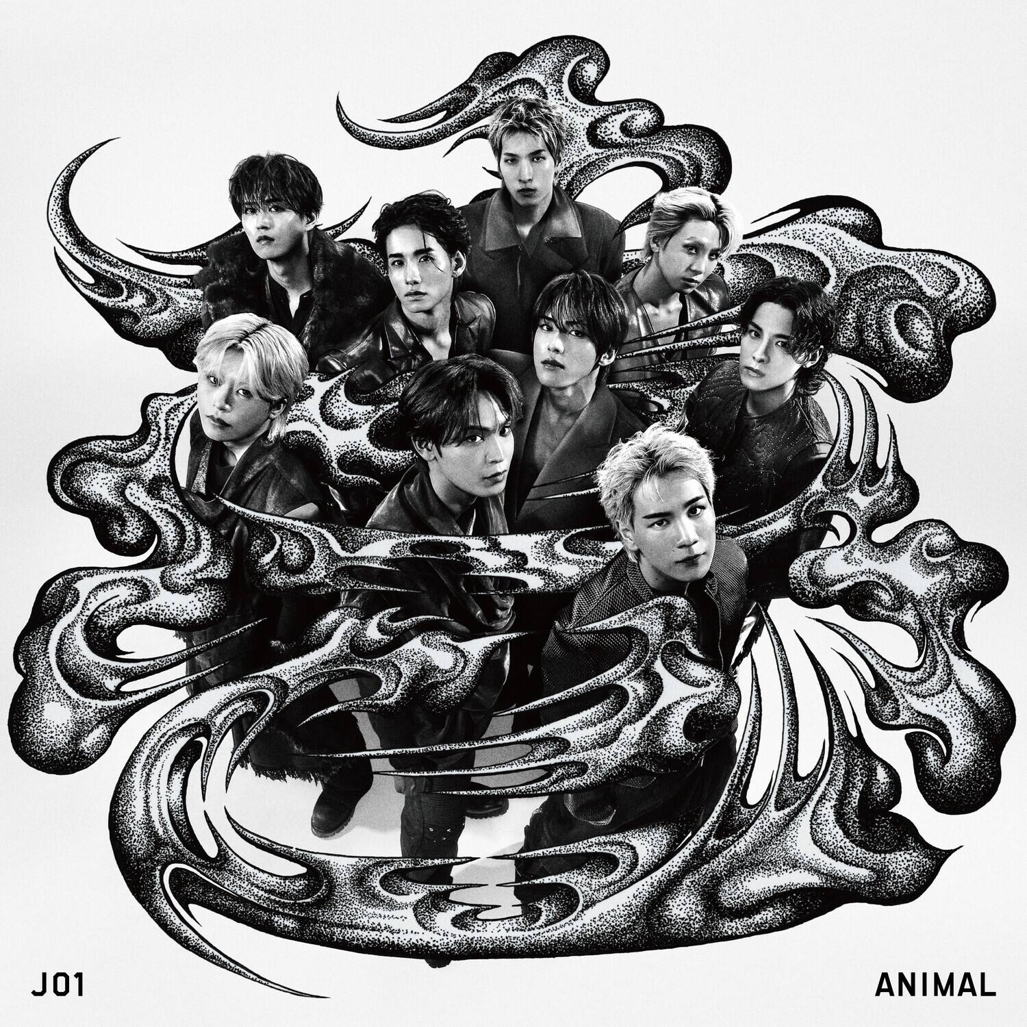 J01  
ANIMAL