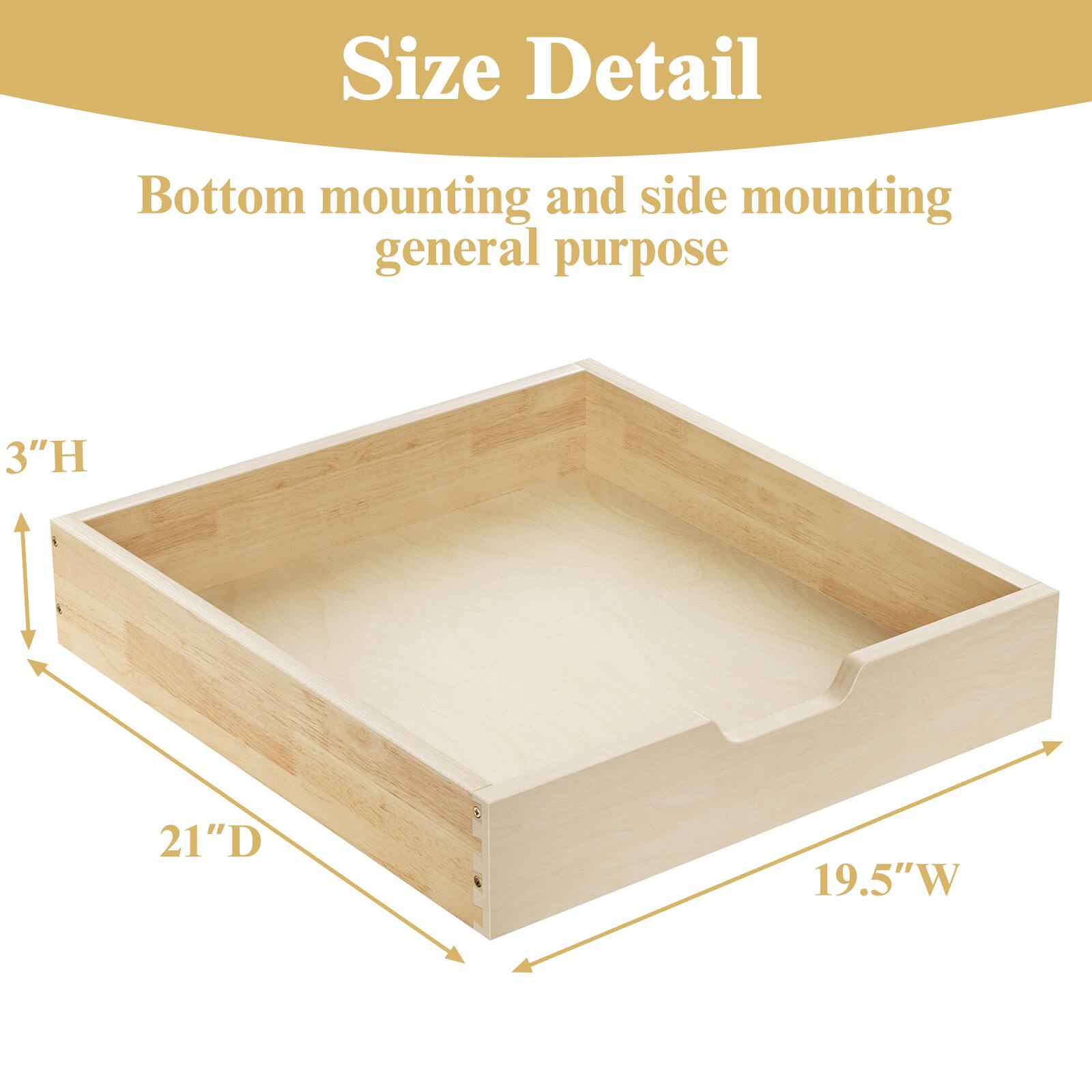 Size Detail

Bottom mounting and side mounting general purpose

3"H  
21"D  
19.5"W