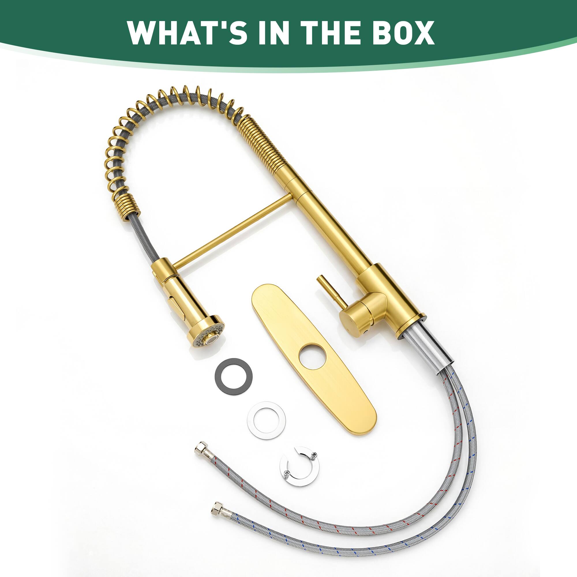 WHAT'S IN THE BOX