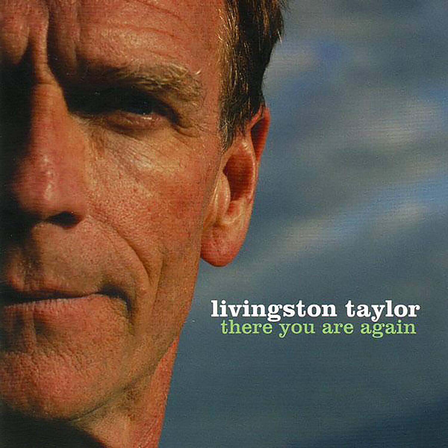 Livingston Taylor - There You Are Again   - COMPACT DISCS [CD] price history on PriceWatchPro