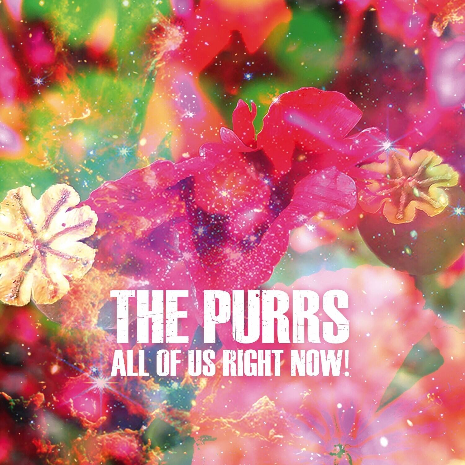 The Purrs - All of Us Right Now!   - VINYL LP price history on PriceWatchPro