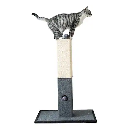 Front. Catry - Minimalist Natural Sisal Cat Scratching Post with Peek-a-Boo Ball Toy - Gray.