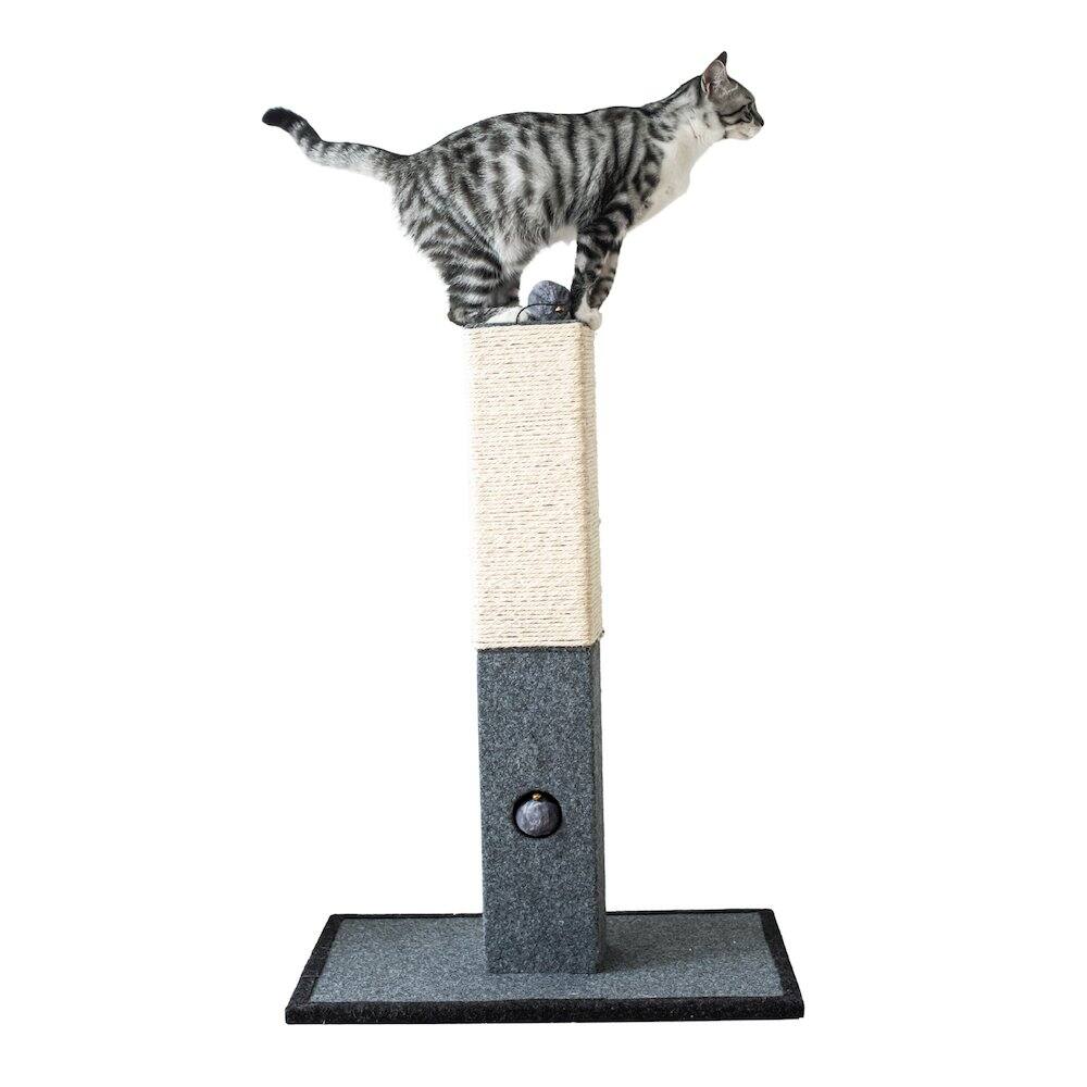 Front. Catry - Minimalist Natural Sisal Cat Scratching Post with Peek-a-Boo Ball Toy - Gray.