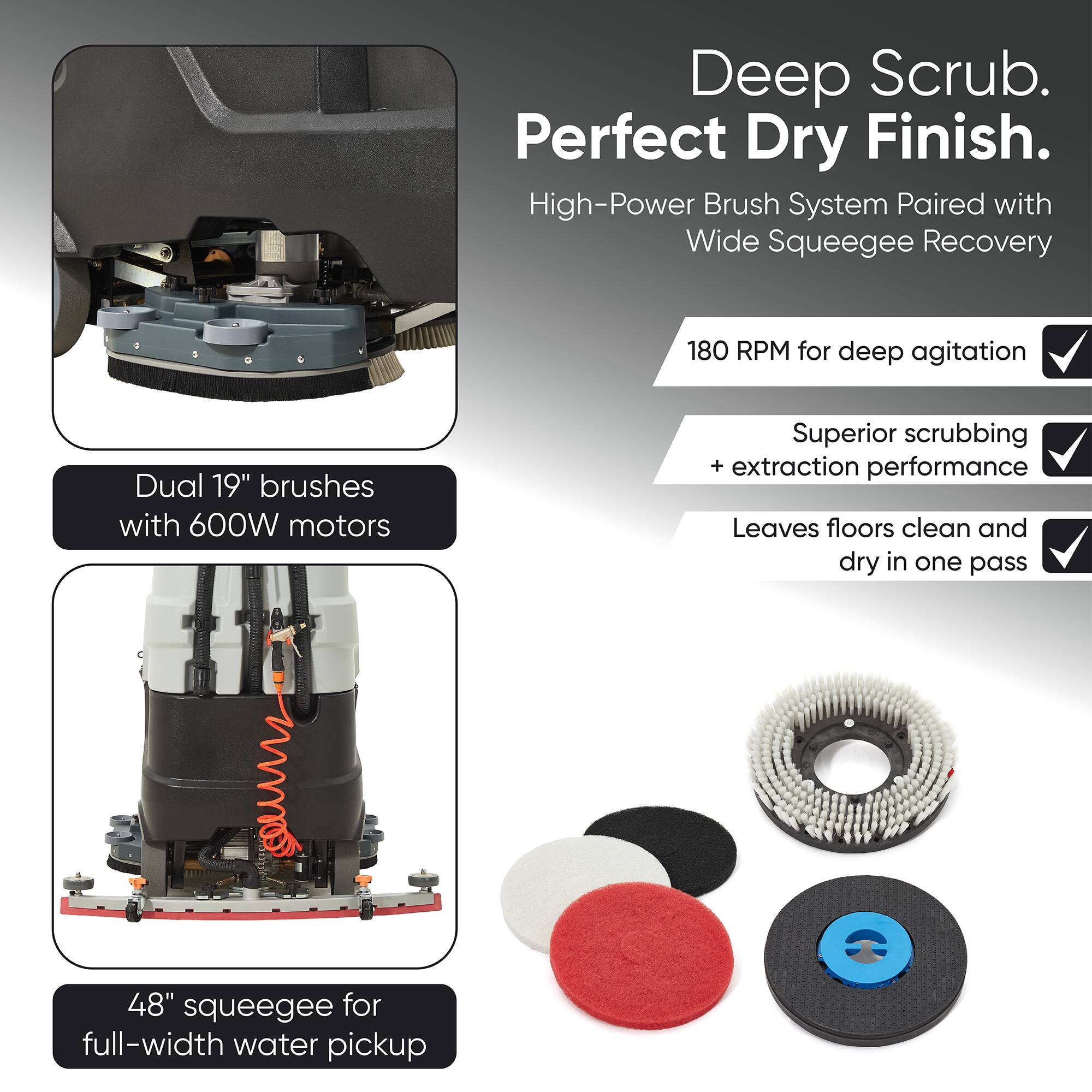 Deep Scrub. Perfect Dry Finish.  
High-Power Brush System Paired with Wide Squeegee Recovery  
180 RPM for deep agitation  
Dual 19" brushes with 600W motors  
Superior scrubbing + extraction performance  
Leaves floors clean and dry in one pass  
48" squeegee for full-width water pickup
