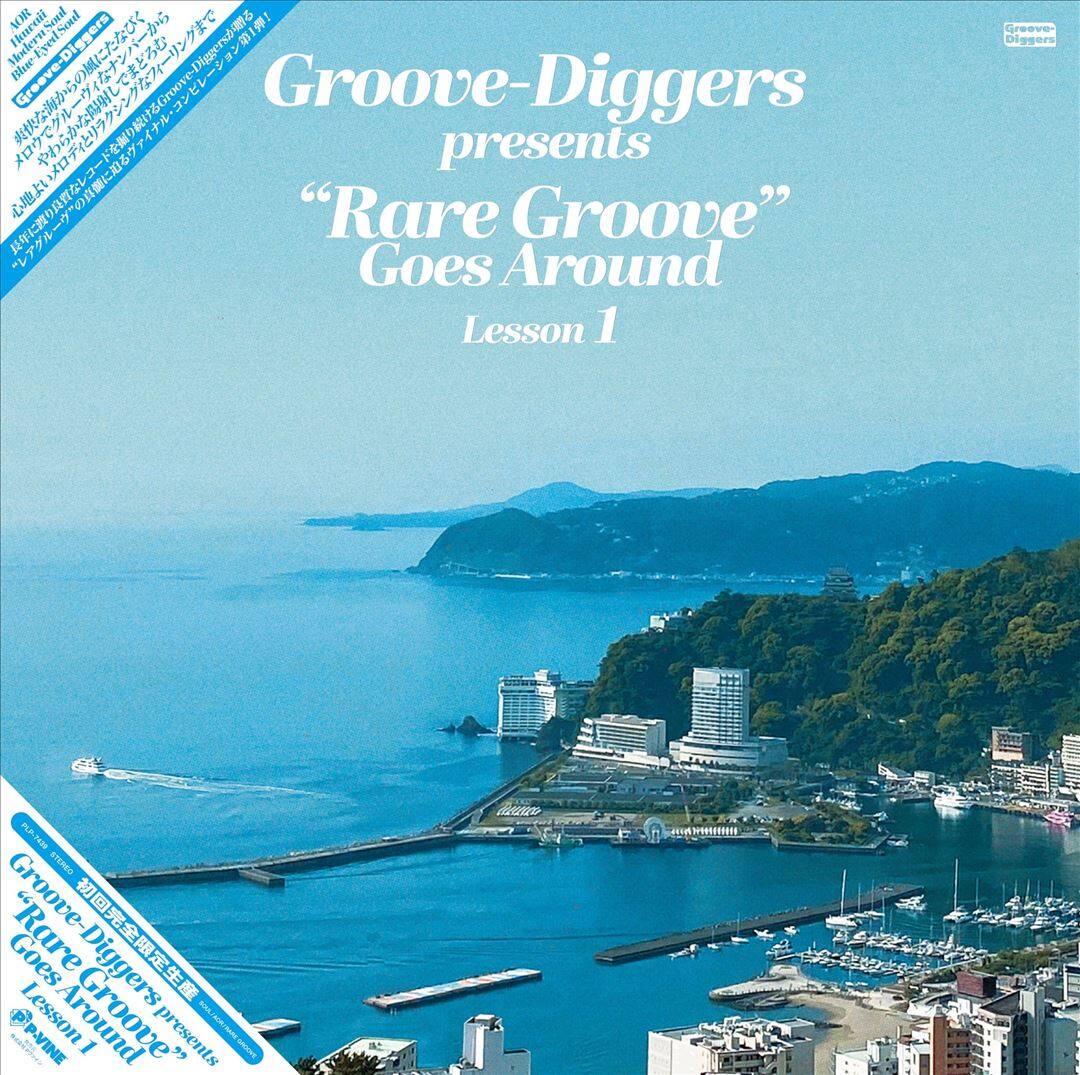 Groove Diggers Vinyl Collection, Vol. 1 [LP] VINYL Best Buy