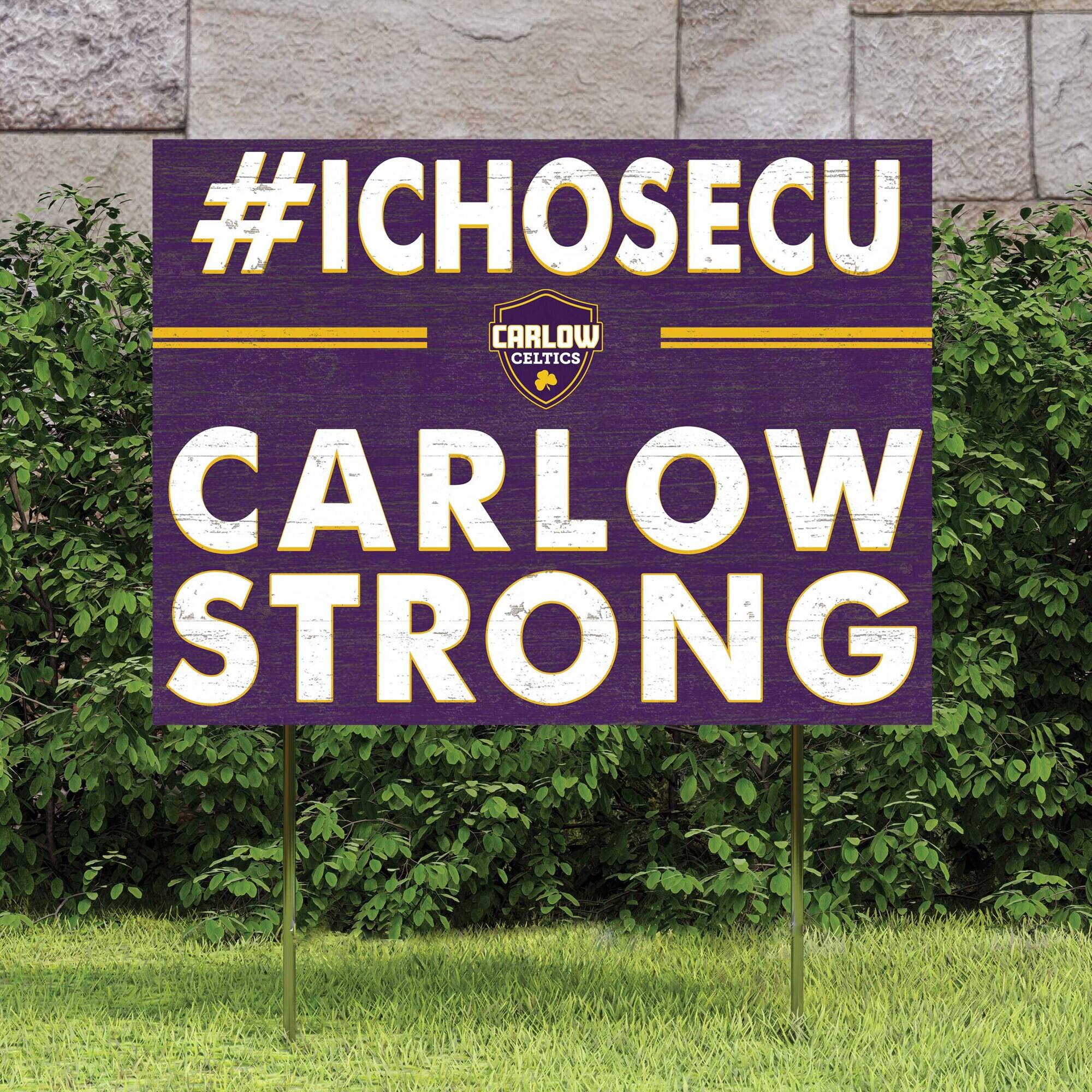 #ICHOOSECU  
CARLOW CELTICS  
CARLOW STRONG