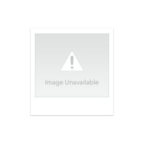 Clarion Company Ltd SRv250 - Best Buy