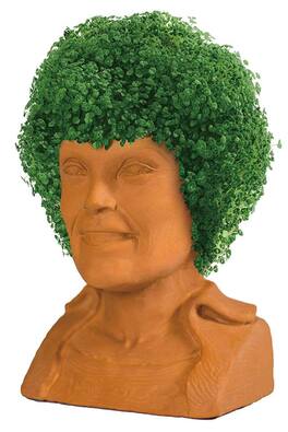 Joseph Enterprises - Golden Girls Chia Pet Blanche Decorative Pottery Planter - Brown