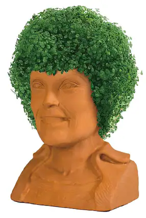 Front. Joseph Enterprises - Golden Girls Chia Pet Blanche Decorative Pottery Planter - Brown.