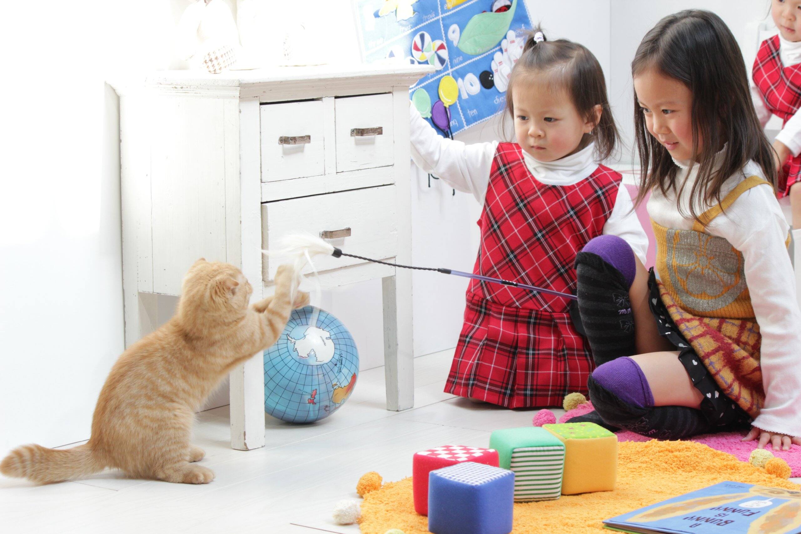 trains M nne ten pn de m  FUANY BY 8