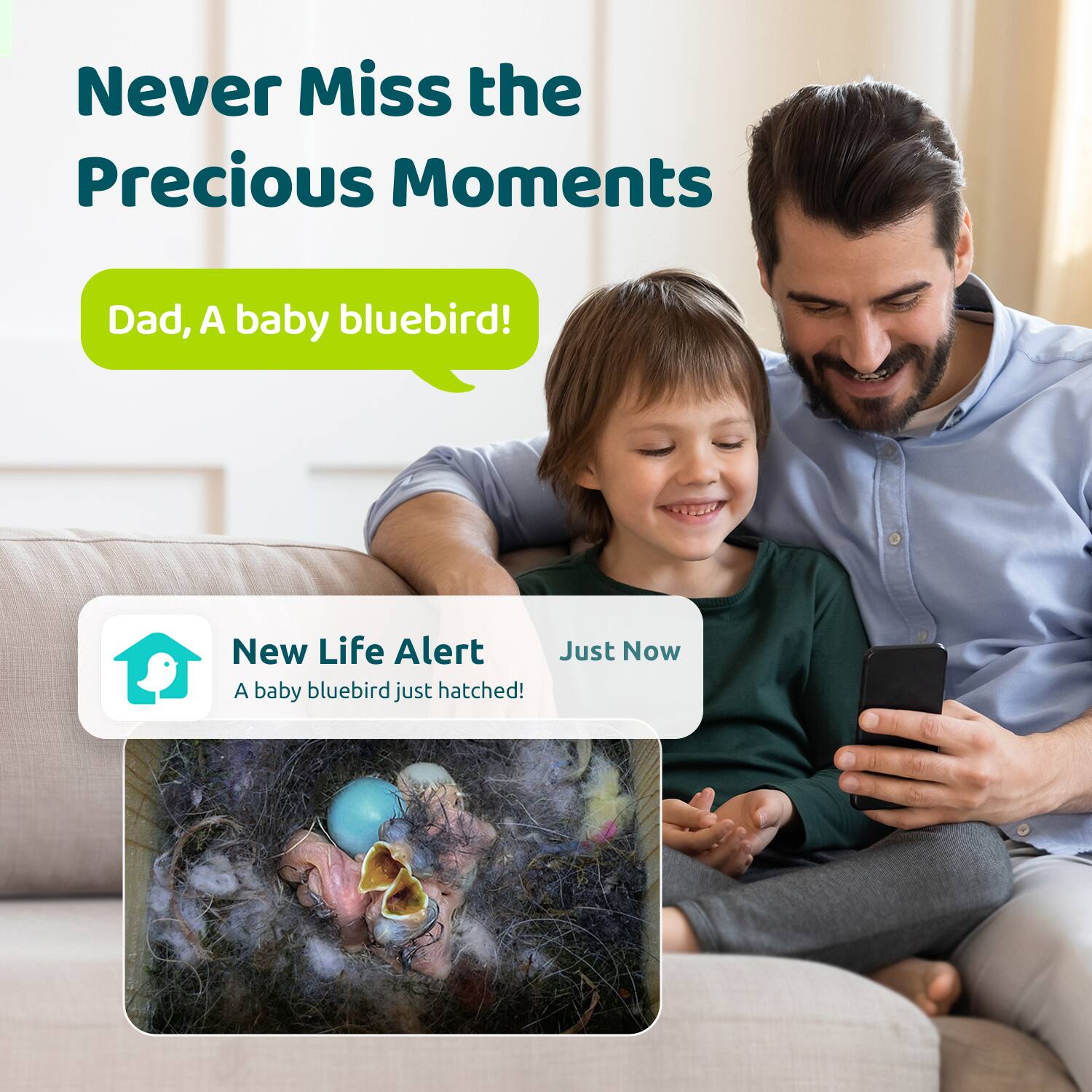 Never Miss the Precious Moments

Dad, A baby bluebird!

New Life Alert
A baby bluebird just hatched!

Just Now