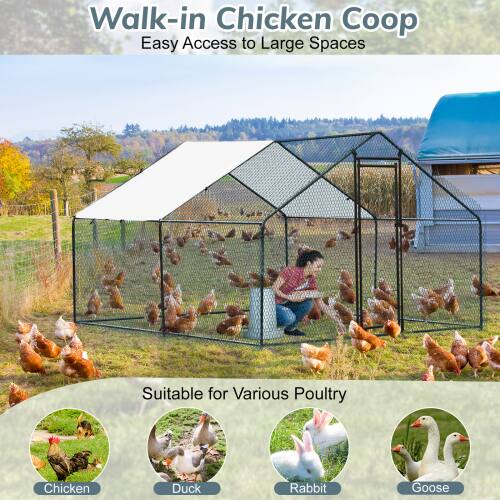 Walk-in Chicken Coop  
Easy Access to Large Spaces  

Suitable for Various Poultry  
- Chicken  
- Duck  
- Rabbit  
- Goose