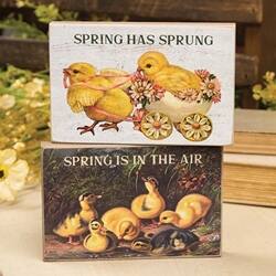 BreeBe Spring Has Sprung Vintage Chick Block 2 Asstd Multicolor G38260 ...