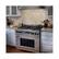 Alt View 12. Dacor - 4.6 Cu. Ft. Self-Cleaning Freestanding Dual Fuel Convection Range - Stainless Steel.
