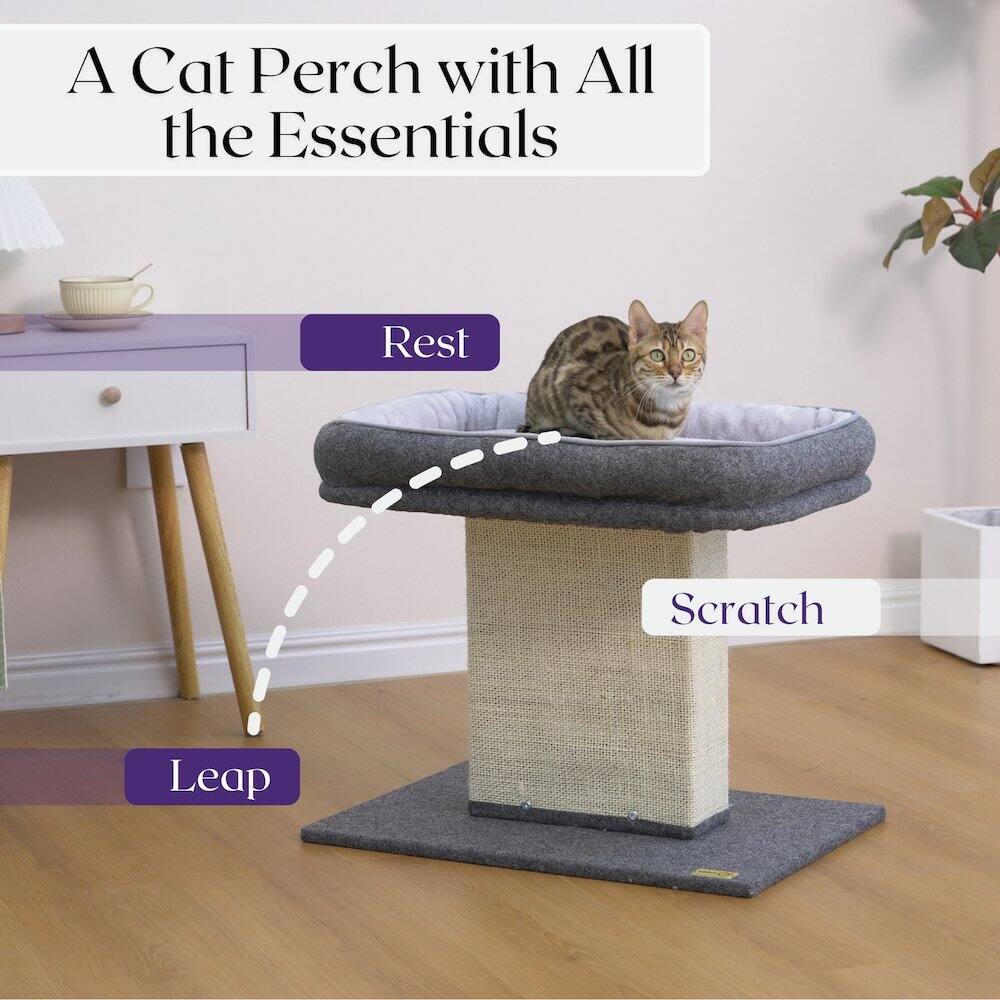A Cat Perch with All the Essentials

- Rest
- Scratch
- Leap