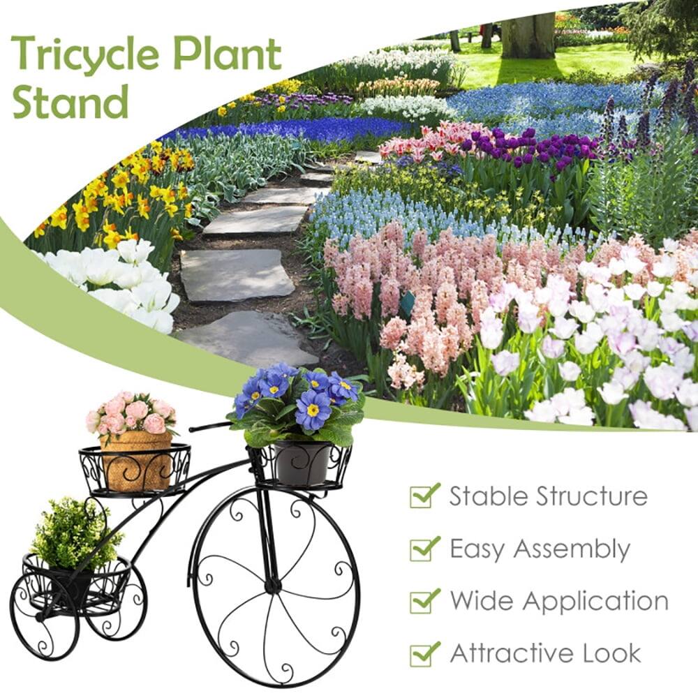 Tricycle Plant Stand

- Stable Structure
- Easy Assembly
- Wide Application
- Attractive Look