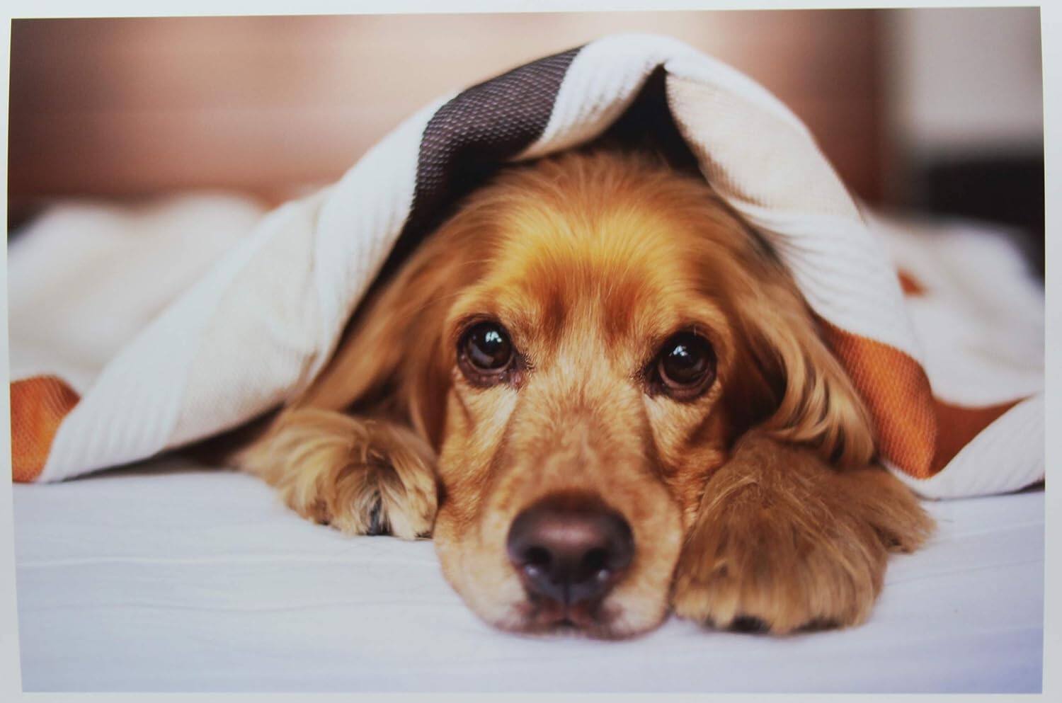 Alt View 7. Photo Paper Direct - Satin Photo Paper 12x12 for Inkjet Printers (50 sheets/255 gsm) - White.