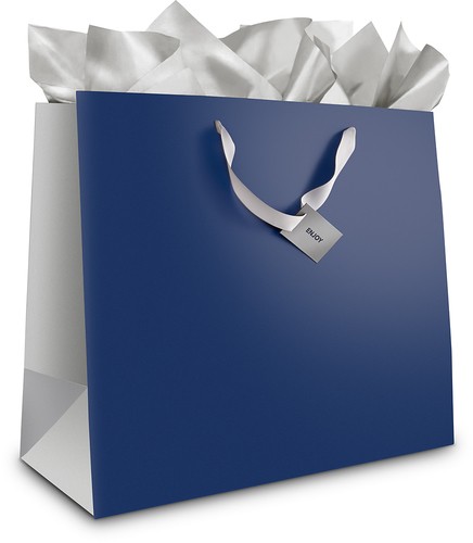  Best Buy Exclusive - Large Gift Bag - Navy Blue/Silver