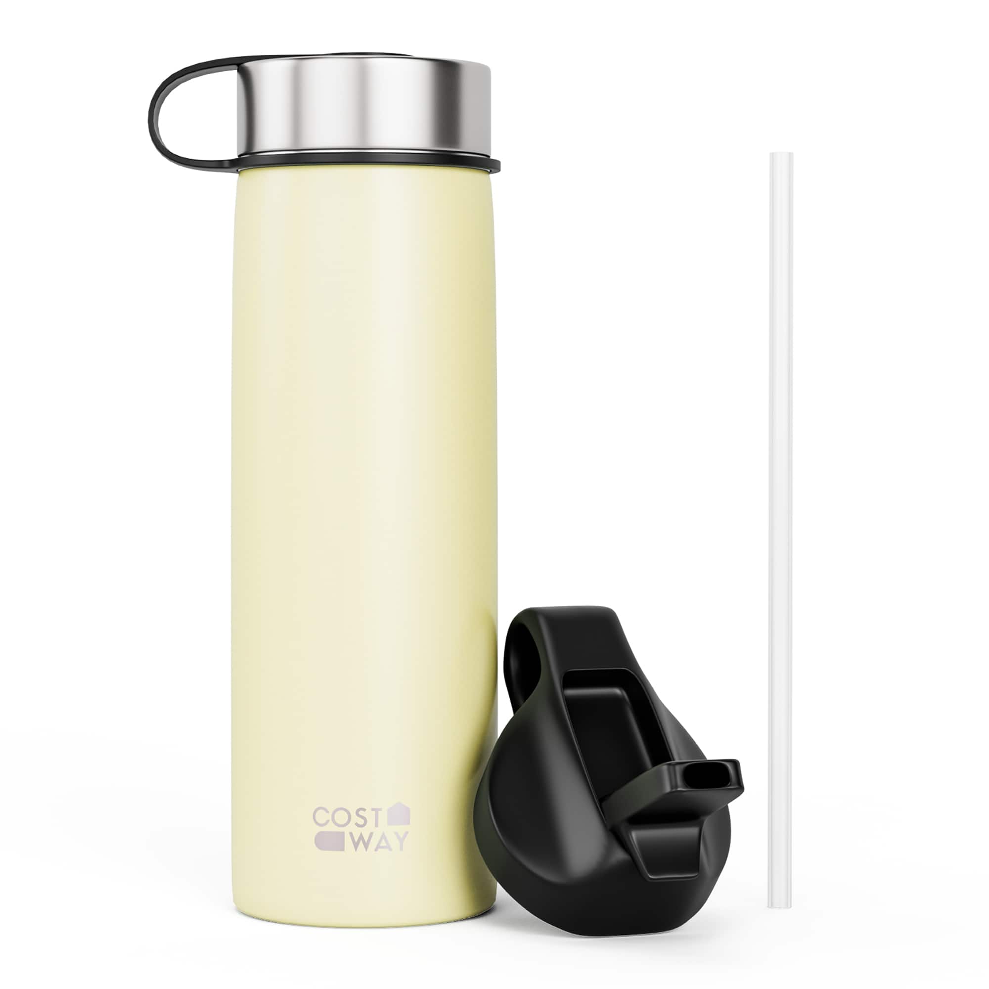 Costway - 22 oz Double Wall Insulated Water Bottle Stainless Steel w/ 2 Lids & Straw - Beige price history on PriceWatchPro
