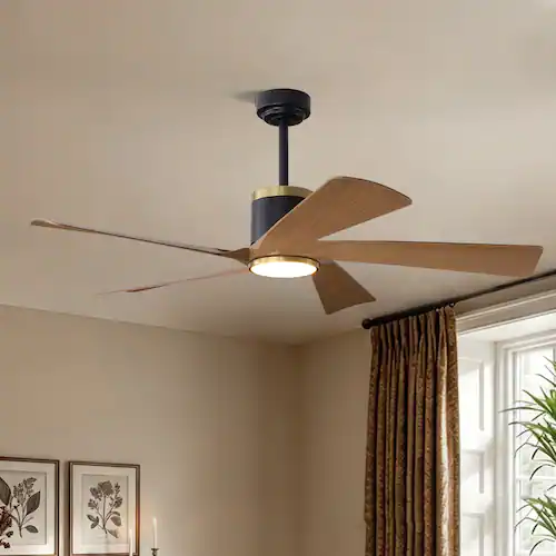 Ceiling Fans