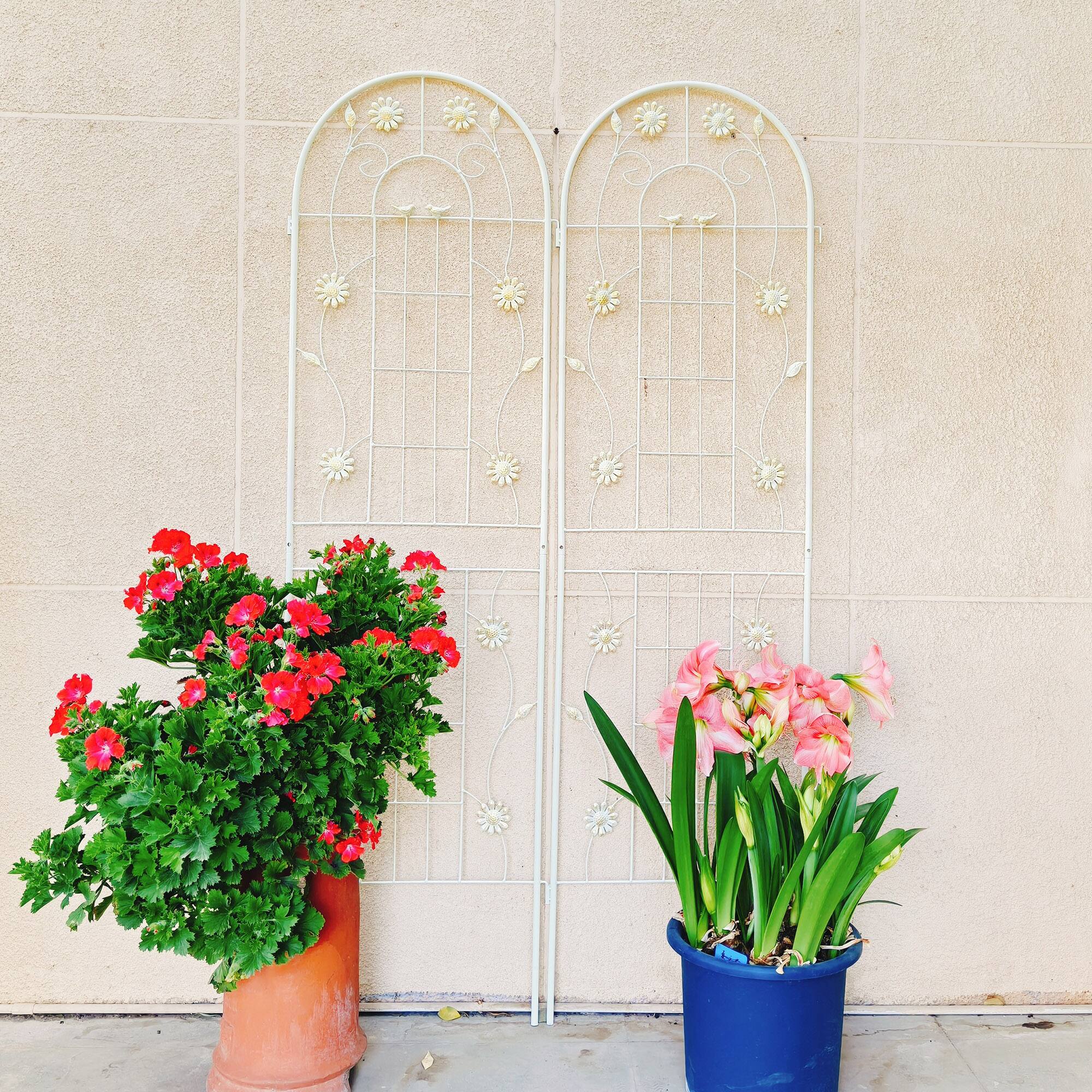 Alt View 4. Loheer - 2 Pack Metal Garden Trellis for Climbing Plants Outdoor Flower Support - Cream White.