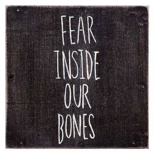 Front. Fear Inside Our Bones [CD].