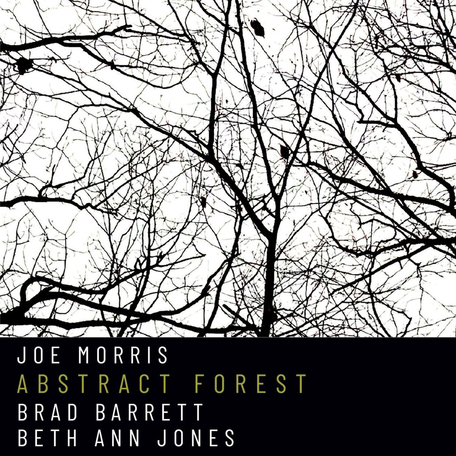 JOE MORRIS  
ABSTRACT FOREST  
BRAD BARRETT  
BETH ANN JONES