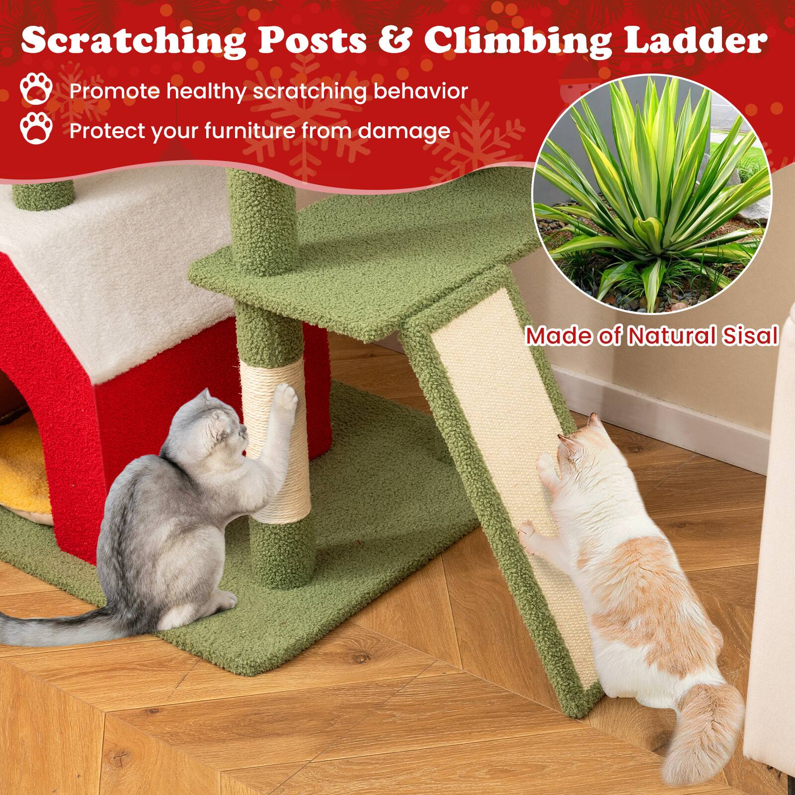 Scratching Posts & Climbing Ladder

- Promote healthy scratching behavior
- Protect your furniture from damage

Made of Natural Sisal