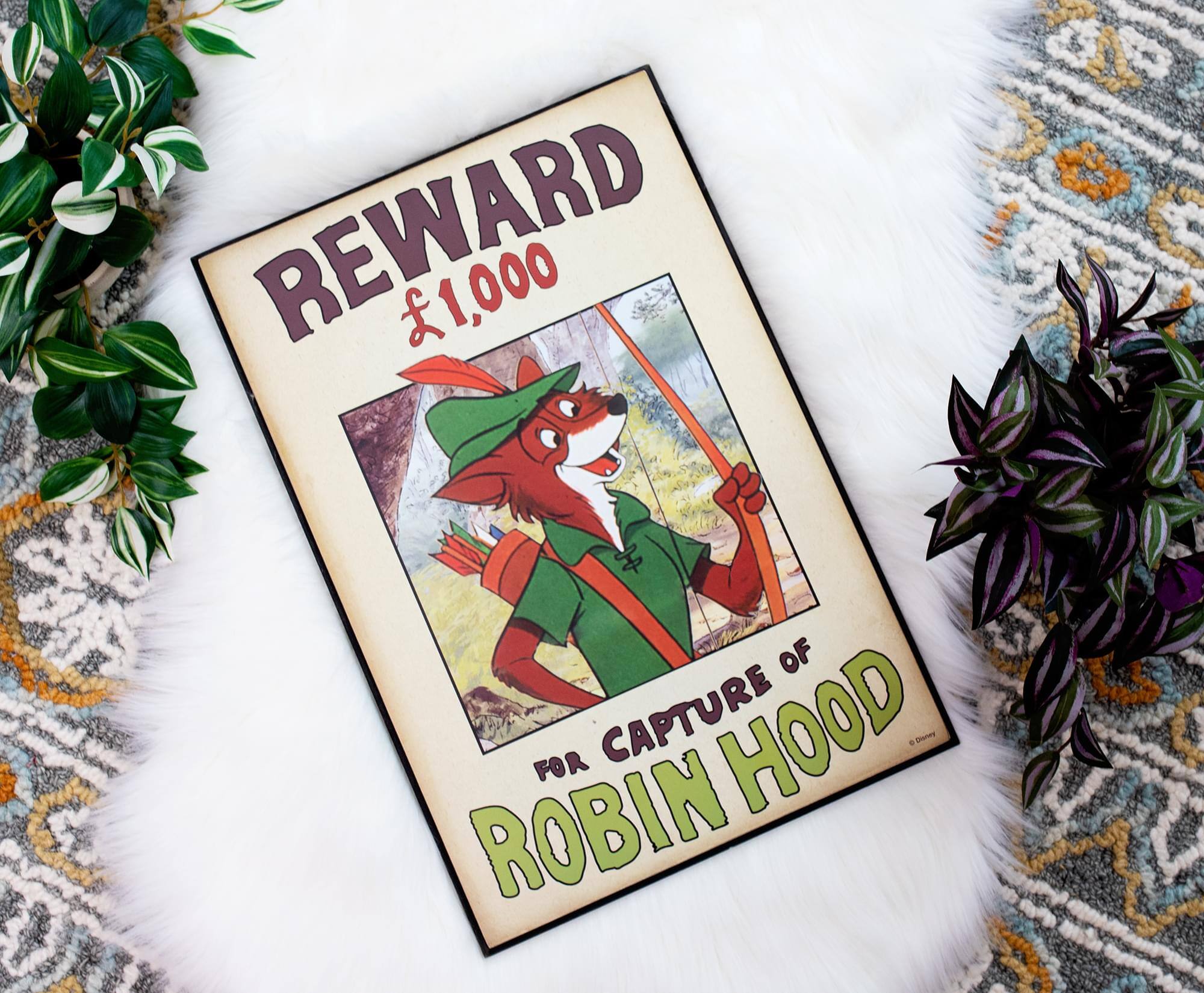 REWARD £1,000 FOR CAPTURE OF ROBIN HOOD