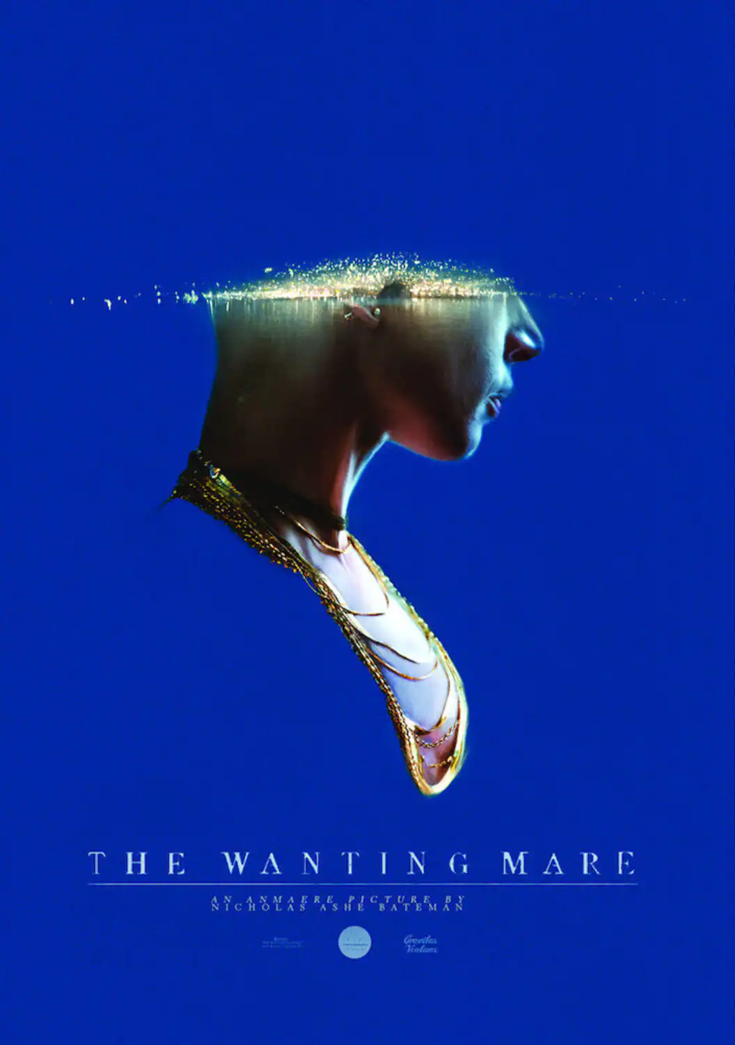 The Wanting Mare DVD - Best Buy