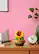 Alt View 4. Nintendo - Talking Flower - Multi.